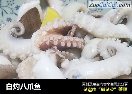 白灼八爪鱼