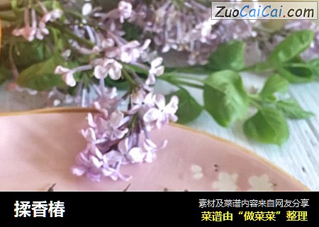 揉香椿