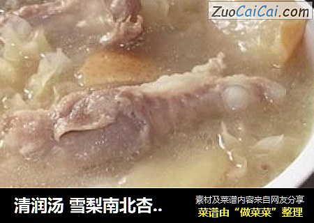 清润汤 雪梨南北杏排骨汤