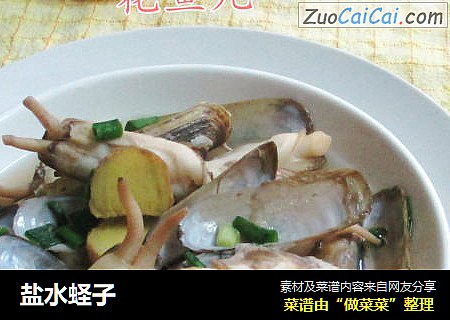 盐水蛏子