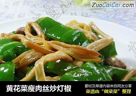 黄花菜瘦肉丝炒灯椒