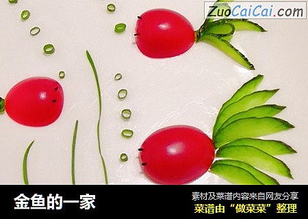 金鱼的一家