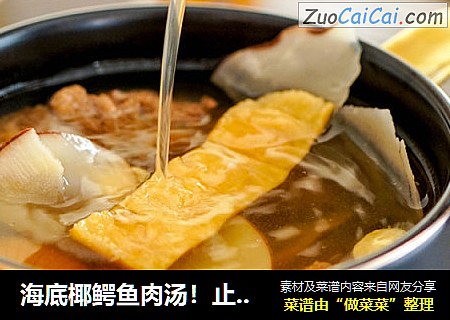 海底椰鳄鱼肉汤！止咳润肺气管炎必备~