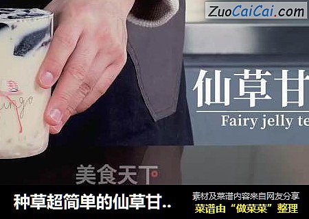 种草超简单的仙草甘茶的做法