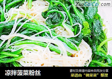 凉拌菠菜粉丝