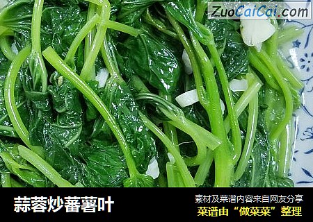蒜蓉炒蕃薯叶