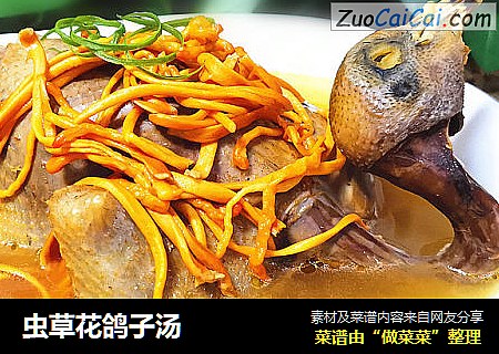 虫草花鸽子汤