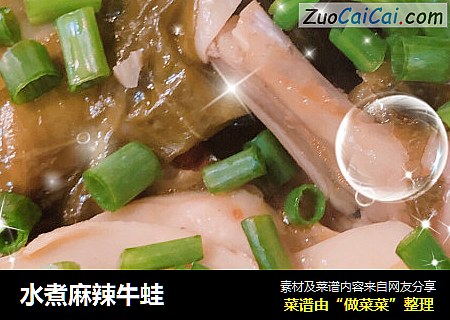 水煮麻辣牛蛙