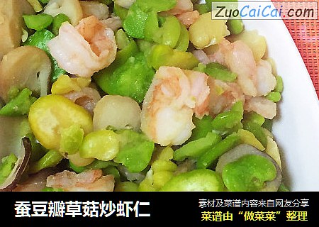 蚕豆瓣草菇炒虾仁