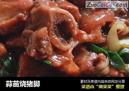 蒜苗烧猪脚