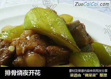 排骨烧夜开花
