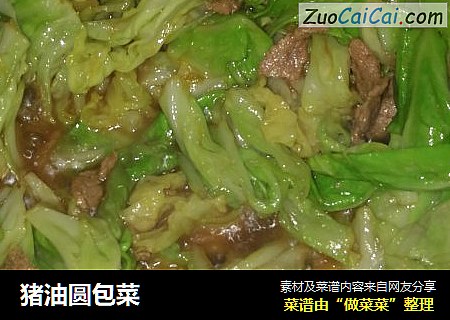 猪油圆包菜