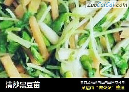清炒黑豆苗