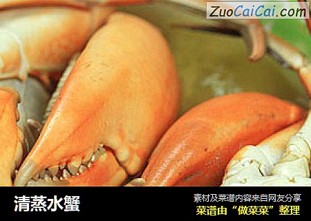 清蒸水蟹