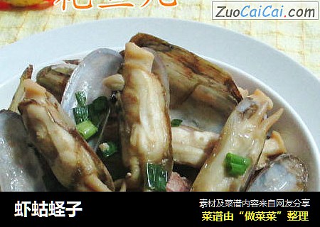 虾蛄蛏子