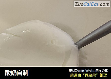 酸奶自制