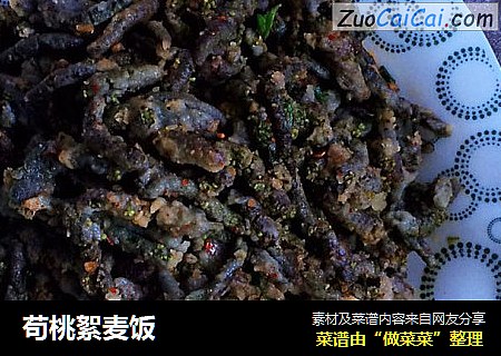 苟桃絮麦饭