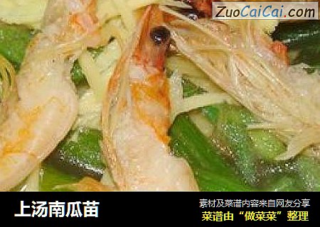 上汤南瓜苗