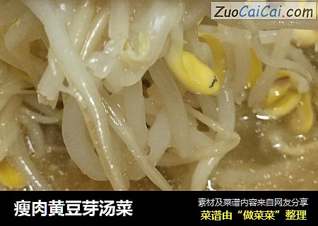 瘦肉黄豆芽汤菜