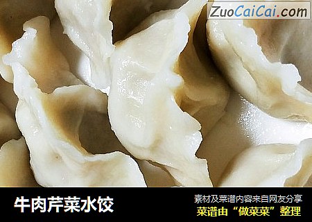 牛肉芹菜水饺