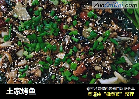 土家烤鱼