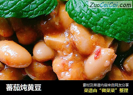 蕃茄炖黄豆