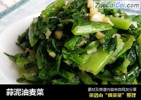 蒜泥油麦菜