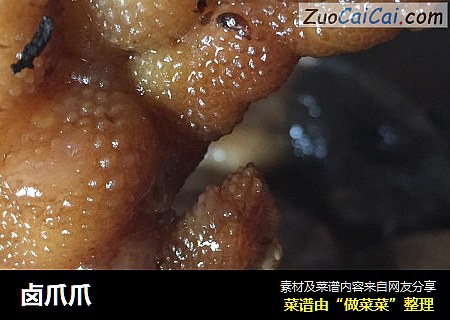 卤爪爪
