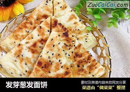 发芽葱发面饼