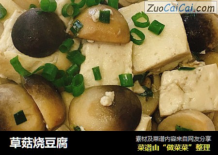 草菇烧豆腐