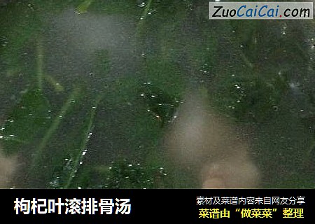 枸杞叶滚排骨汤