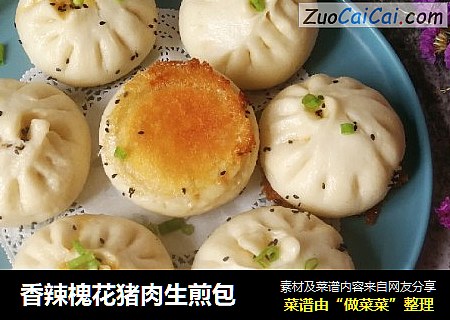 香辣槐花猪肉生煎包