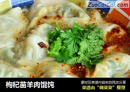 枸杞苗羊肉馄饨