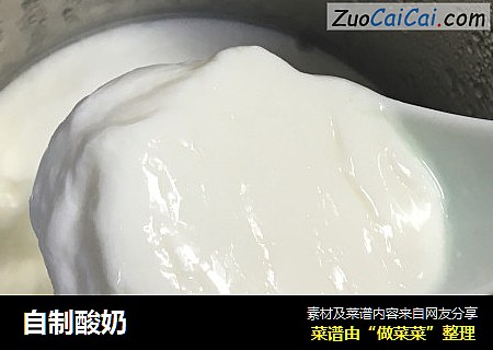 自制酸奶