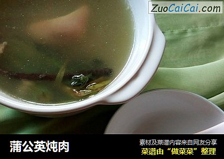 蒲公英炖肉