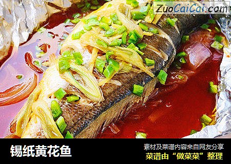 锡纸黄花鱼