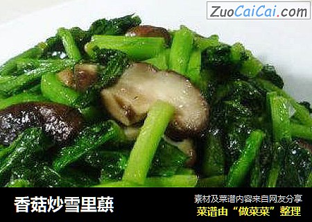 香菇炒雪里蕻