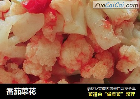 番茄菜花