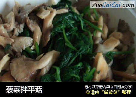 菠菜拌平菇