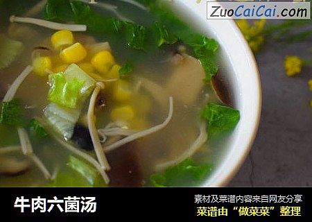 牛肉六菌汤
