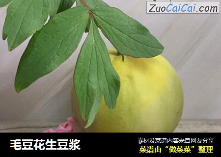 毛豆花生豆浆