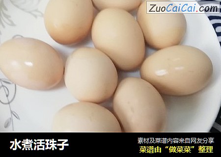 水煮活珠子