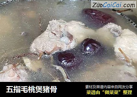 五指毛桃煲猪骨