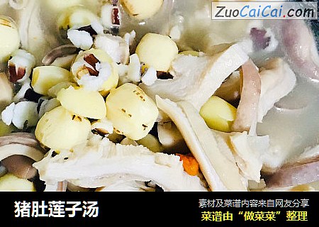 猪肚莲子汤