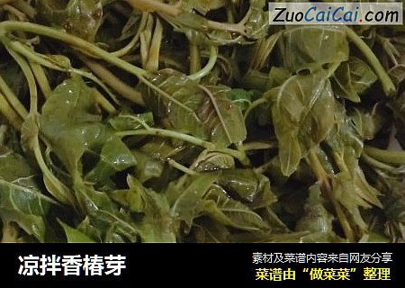 凉拌香椿芽