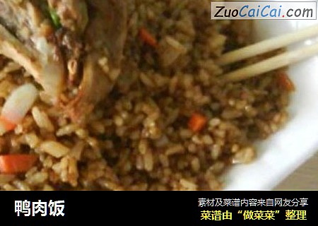 鸭肉饭
