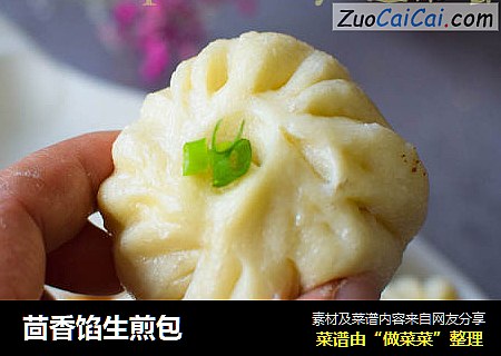 茴香馅生煎包