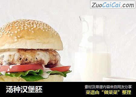 汤种汉堡胚