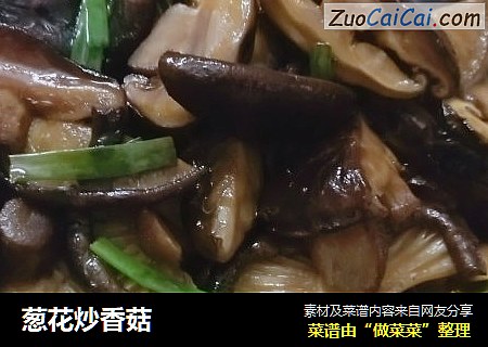 葱花炒香菇