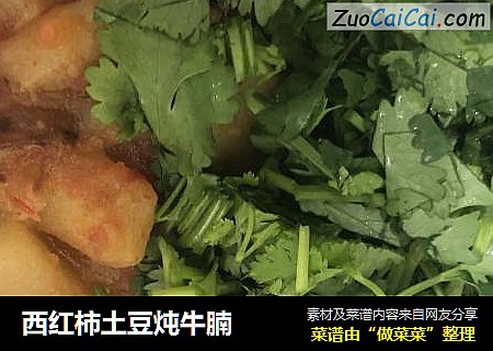 西红柿土豆炖牛腩